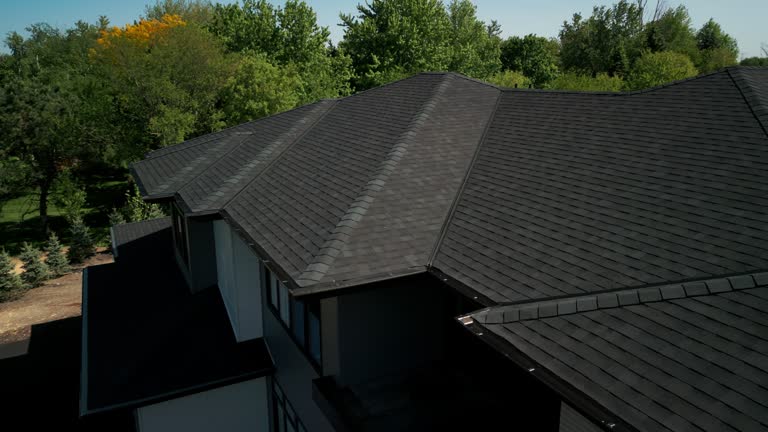 Best Chimney Flashing Repair  in Lake Holiday, IL