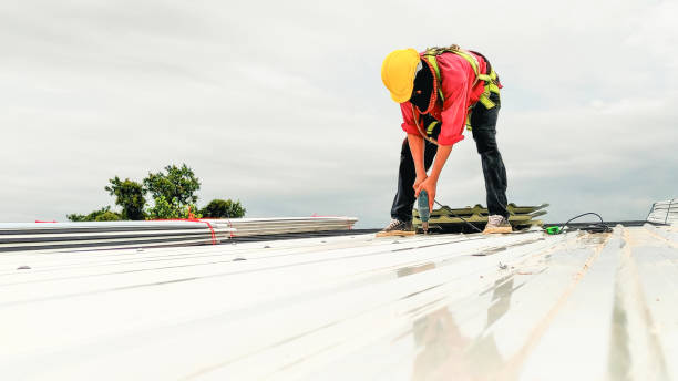 Roof Insulation in Lake Holiday, IL