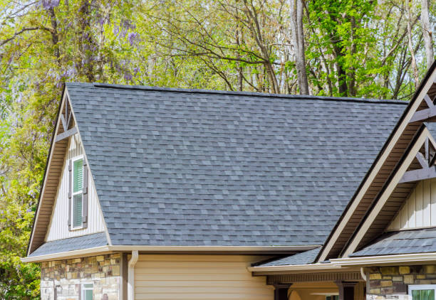 Professional Roofing Service in Lake Holiday, IL